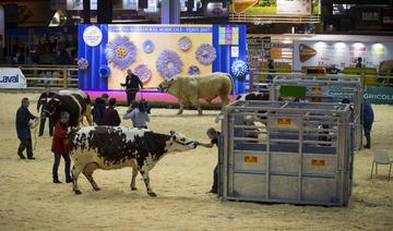 Covid-19: annulation du concours général agricole