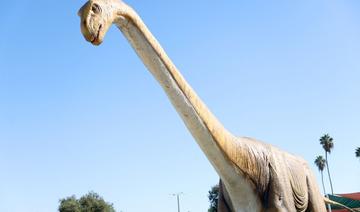 Comment les plus grands dinosaures volants supportaient leur cou démesuré