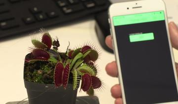 «Robots-plantes»: des scientifiques cherchent à combiner technologie et nature 