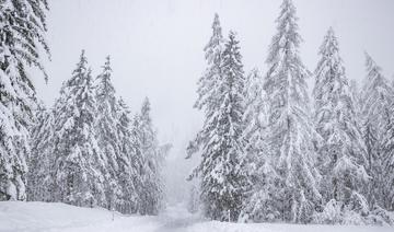 Sept morts dans deux avalanches en Savoie