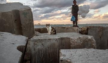 Un chat et un enfant sur des blocs de béton au bord de la mer Méditerranée dans le port historique d'Alexandrie, dans le nord de l'Égypte, le 26 mars 2021.(Khaled Desouki/AFP)