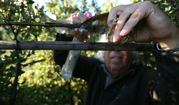 Un amateur de la chasse à glu, sortant ses bâtons de glu à six heures du matin (Photo, AFP)