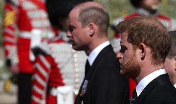 Les princes William et Harry se retrouvent pour inaugurer une statue de leur mère Lady Di