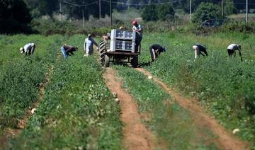 Exploités, battus, drogués: le calvaire des ouvriers agricoles étrangers en Italie