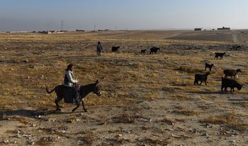 Appel de l'ONU aux donateurs pour aider l'Afghanistan face à la sécheresse 