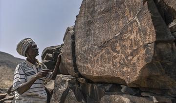 Girafes, autruches, oryx: à Djibouti, le désert cache des gravures préhistoriques