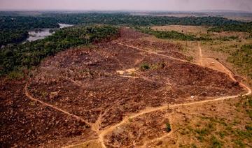 Amazonie: le Brésil n'atteindra pas son objectif de réduction de la déforestation