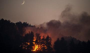 Incendies en Grèce: la colère gronde à Asimnio, où «personne n'arrive»