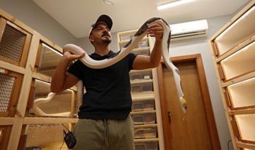 A Jeddah, les « créatures mystérieuses » d'un Saoudien amateur de pythons