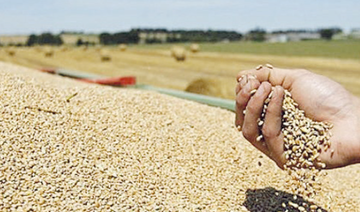 Le Maroc importera du blé tendre des États-Unis et du blé dur du Royaume-Uni