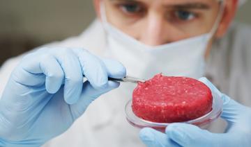 L'avenir est pour la viande de laboratoire, «que cela nous plaise ou pas»