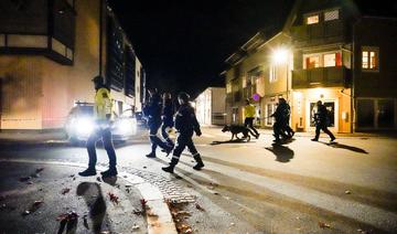 Norvège: plusieurs personnes tuées et blessées par un homme armé d'un arc, le suspect arrêté