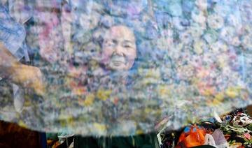 Une artiste vietnamienne célèbre pour ses œuvres en morceaux de tissu