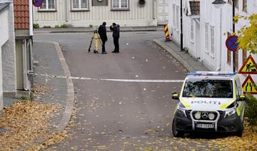 Comme à «Kaboul»: des témoins racontent l'horreur de l'attaque en Norvège