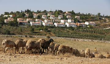 Cisjordanie: Israël approuve plus de 3000 nouveaux logements pour des colons