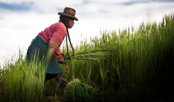 Les femmes prennent la tête de la semaine du climat et de la biodiversité de l'Expo 2020