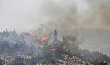 24 Syriens accusés d'être à l'origine de feux de forêt exécutés par le régime