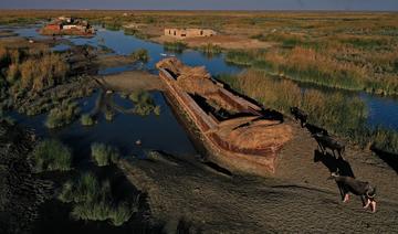 L'Irak menacé par une chute drastique de ses ressources en eau, selon la Banque mondiale