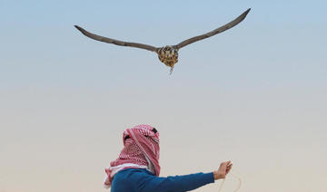 Le festival saoudien de la fauconnerie débute à Riyad 