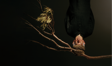 Hossein Valamanesh : Puisque tout passe