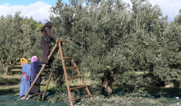 Au Maghreb, l'agriculture bio et organique en plein essor