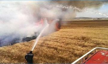 Ouverture des souscriptions au fonds d’indemnisation des dommages agricoles causés par les catastrophes naturelles