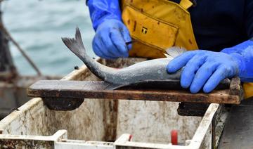 Course contre la montre à Bruxelles pour régler le conflit des droits de pêche