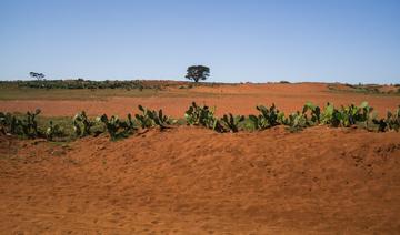 Climat: le réchauffement pas responsable de la famine à Madagascar, selon une étude 