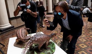 Découverte d'un nouveau dinosaure à la queue inédite au Chili
