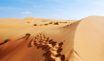 Un coureur finlandais va traverser le Quart Vide, le plus grand désert de sable du monde 