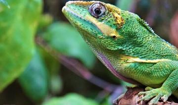 Exposition: La biodiversité, c’est la vie c’est notre vie