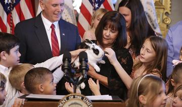 USA: le lapin de l'ancien vice-président Pence, star de livres pour enfants, est mort