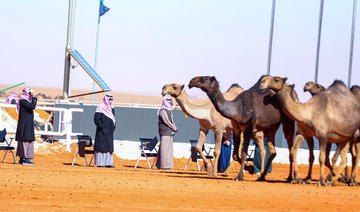 Des femmes présentent leurs chameaux à un concours de beauté pour la première fois en Arabie saoudite