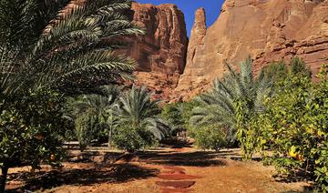 AlUla : «Renaissance de l’oasis»