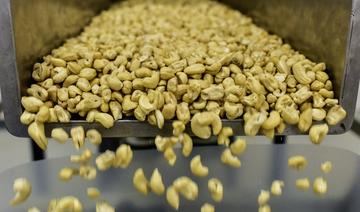 La Côte d'Ivoire devient 3e exportateur mondial d'amande de cajou 