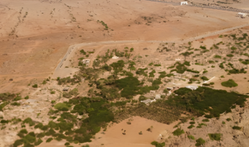 La présence romaine sur les îles Farasan... Nouveautés du coté de Najrân
