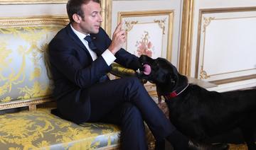 Présidentielle: Macron se lance enfin, ses adversaires à l'affût