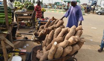 Loin de Kiev, l'Afrique face aux retombées économiques de la guerre en Ukraine 