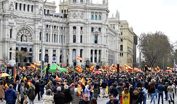 Espagne: des milliers de manifestants contre la vie chère à l'appel de l'extrême droite