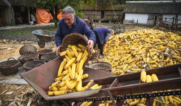 Ukraine: l'UE promet des aides aux agriculteurs, dément un abandon de sa statégie «verte»