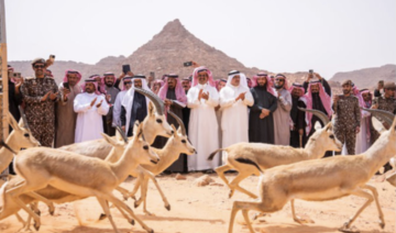 Un centre saoudien libère deux cents animaux en voie de disparition