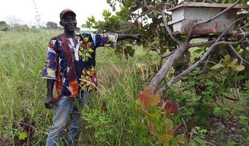  Gambie: L’apiculture, moyen de subsistance dans les forêts des zones arides 