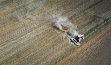 La sécheresse «aura un impact» sur les récoltes de céréales