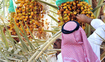 Aramco signe un accord pour développer la production de dattes et les industries alimentaires à Al-Ahsa