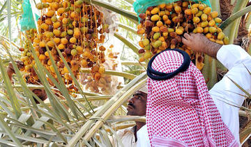 Aramco signe un accord pour développer la production de dattes et les industries alimentaires à Al-Ahsa