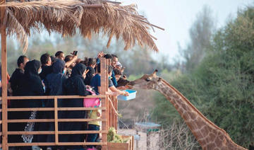 Une passionnante expérience de safari à Jeddah Jungle