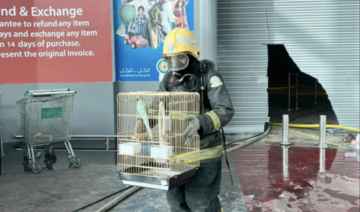 La défense civile saoudienne sauve les animaux pris au piège dans l'incendie d'Alkhobar