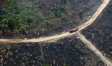 Le Brésil traite moins de 3% des alertes de déforestation