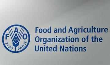 Crise alimentaire: « les pauvres paieront plus pour avoir moins», alerte la FAO