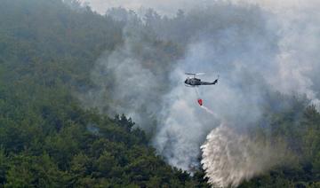 L'incendie dans la plus grande forêt de pins du Liban maîtrisé 